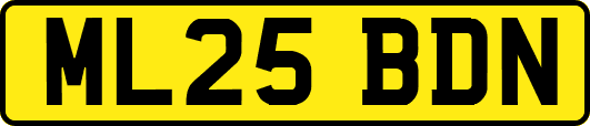 ML25BDN