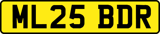 ML25BDR