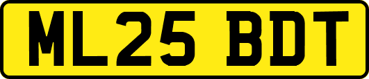ML25BDT