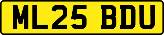ML25BDU