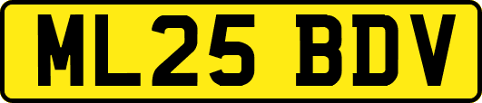 ML25BDV