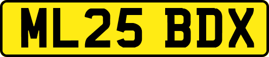 ML25BDX