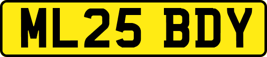 ML25BDY