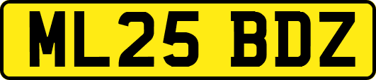 ML25BDZ
