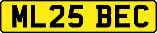 ML25BEC