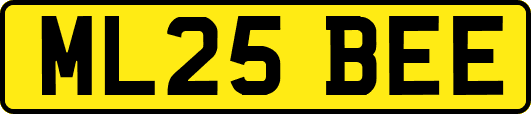 ML25BEE