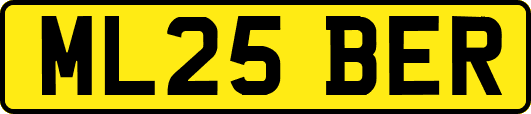 ML25BER