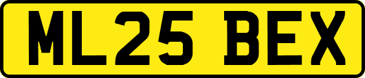 ML25BEX