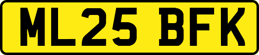 ML25BFK