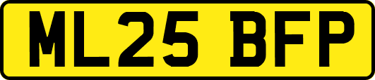 ML25BFP