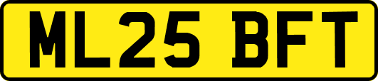 ML25BFT