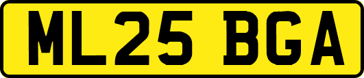 ML25BGA