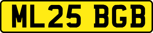 ML25BGB