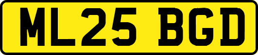 ML25BGD