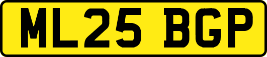 ML25BGP