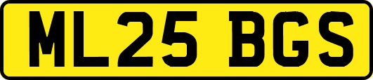 ML25BGS