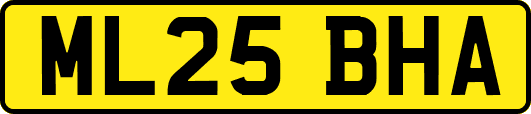 ML25BHA