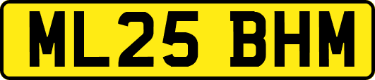 ML25BHM