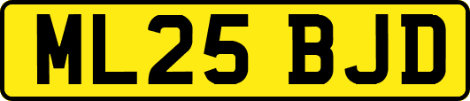 ML25BJD