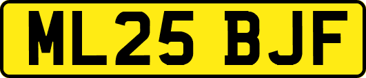ML25BJF