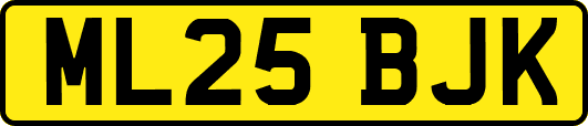 ML25BJK