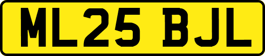ML25BJL