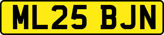 ML25BJN