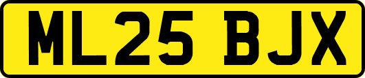 ML25BJX