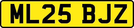 ML25BJZ