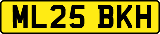 ML25BKH