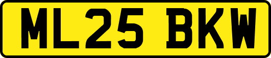 ML25BKW