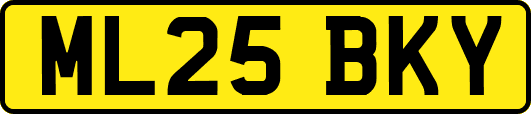 ML25BKY