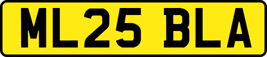 ML25BLA