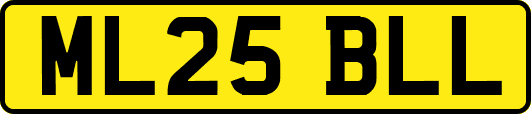 ML25BLL