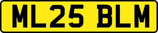ML25BLM