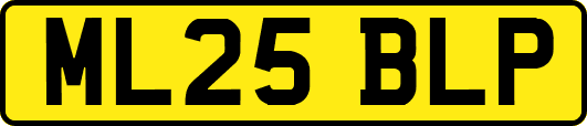 ML25BLP