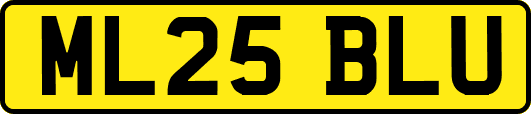 ML25BLU