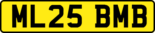 ML25BMB