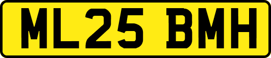 ML25BMH