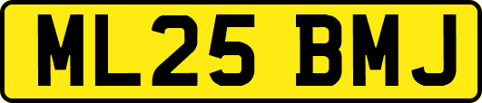 ML25BMJ