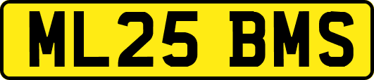 ML25BMS