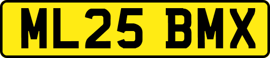 ML25BMX