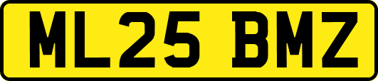 ML25BMZ