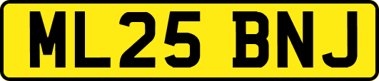 ML25BNJ