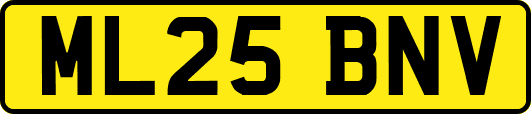 ML25BNV