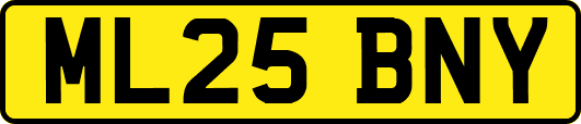 ML25BNY