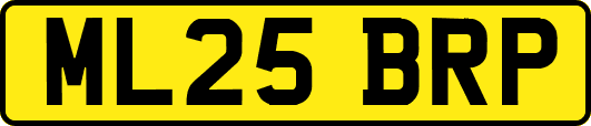 ML25BRP