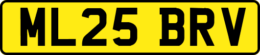 ML25BRV