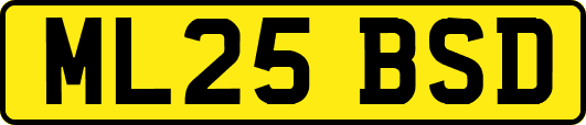 ML25BSD