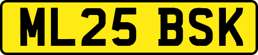 ML25BSK